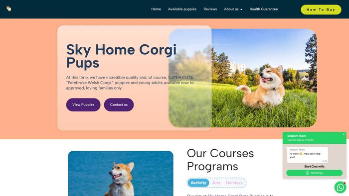 Skyhomecorgipups.com - Corgi Puppy Scam Review