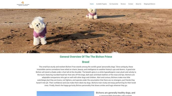 Snowwhitebichonfrisepuppies.com - Bichon Frise Puppy Scam Review