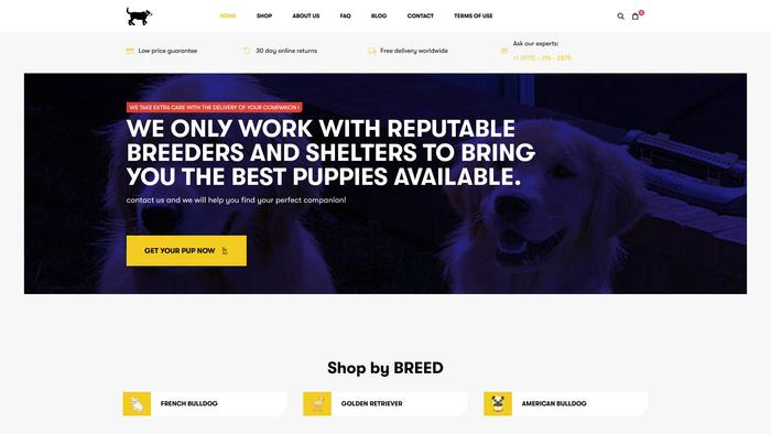 Stunningpups.com - Golden Retriever Puppy Scam Review