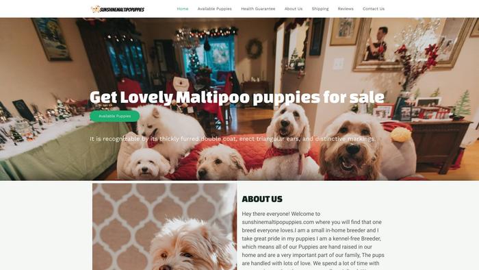 Sunshinemaltipopuppies.com - Maltipoo Puppy Scam Review