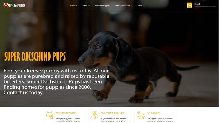 Superdachshunds.com - Dachshund Puppy Scam Review