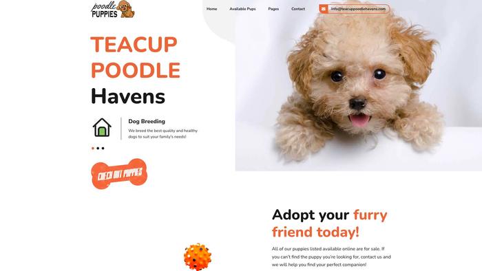 Teacuppoodlehavens.com - Poodle Puppy Scam Review