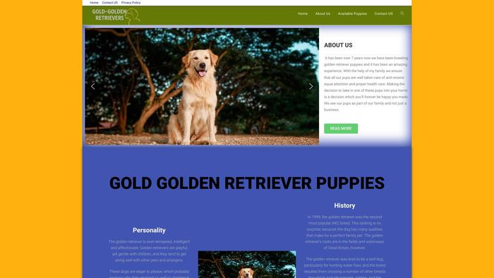 Thegolden-retrieverdogs.com - Golden Retriever Puppy Scam Review