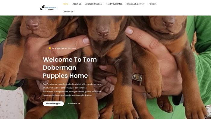 Tomdobermanspups.com - Doberman Pinscher Puppy Scam Review