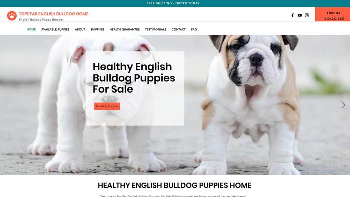 Topstarenglishbulldogs.com - English Bulldog Puppy Scam Review