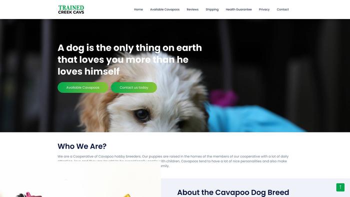 Trainedcreekcavs.com - Cavapoo Puppy Scam Review