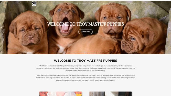 Troymastiffspuppies.com - Tibetan Mastiff Puppy Scam Review