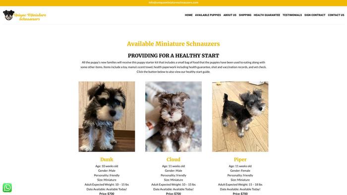 Uniqueminiatureschnauzers.com - Schnauzer Puppy Scam Review