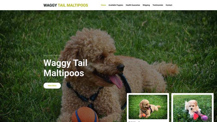 Waggytailmaltipoos.com - Maltipoo Puppy Scam Review