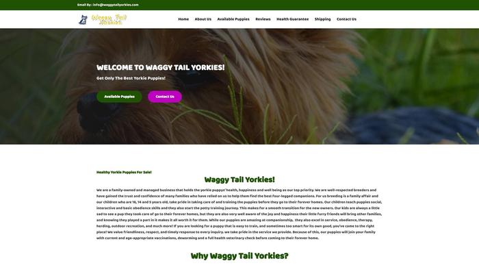 Waggytailyorkies.com - Yorkshire Terrier Puppy Scam Review