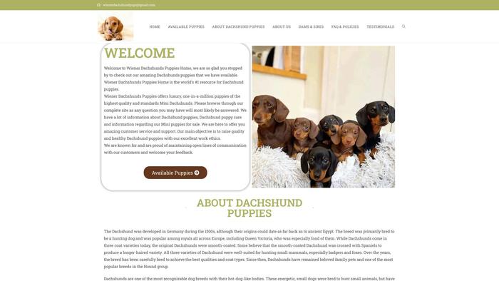 Wienerdachshundpups.com - Dachshund Puppy Scam Review