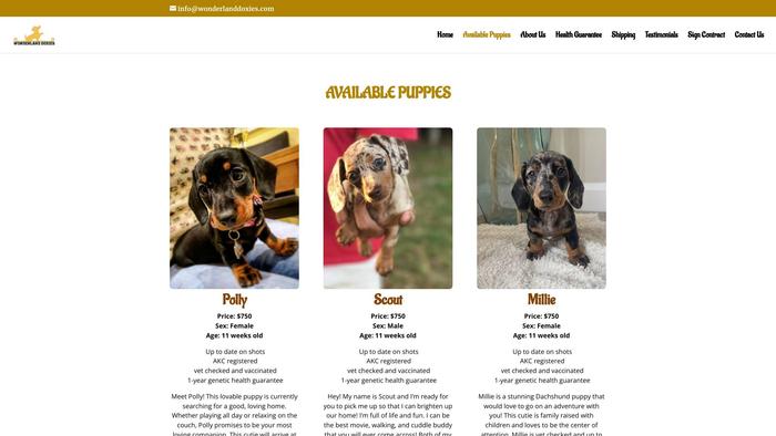 Wonderlanddoxies.com - Dachshund Puppy Scam Review