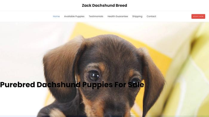 Zackdachshundbreed.com - Dachshund Puppy Scam Review